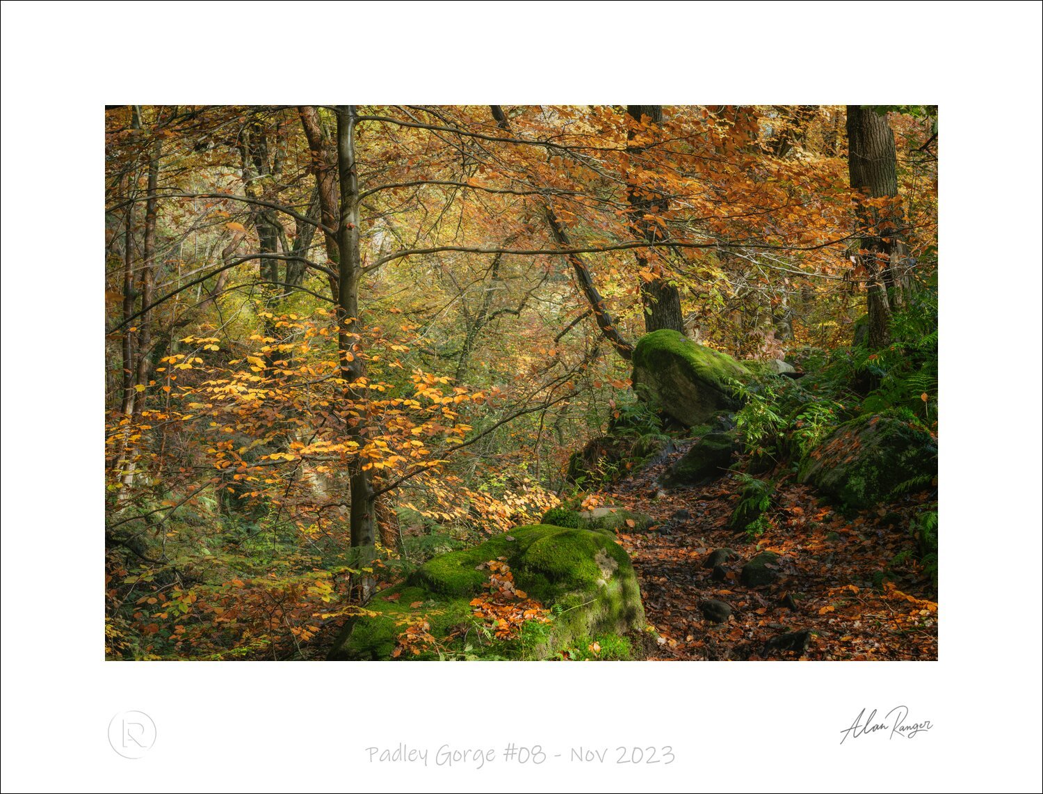 Padley Gorge #08 - Nov 2023.jpg