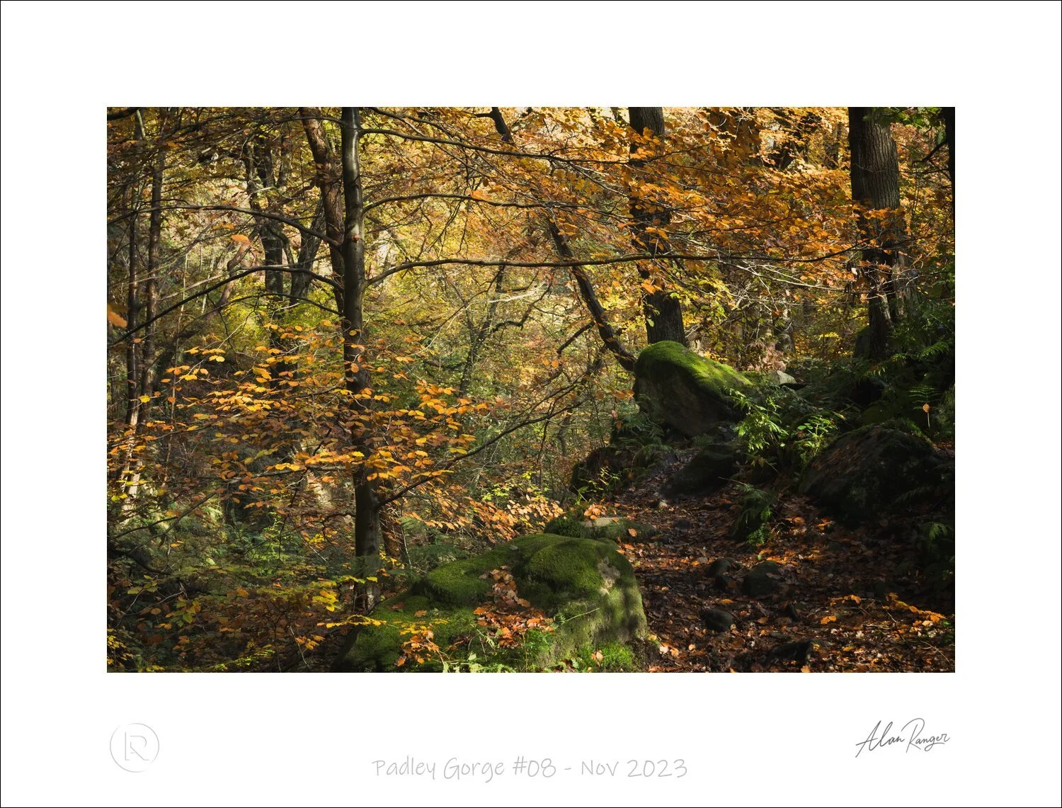 Padley Gorge #08 - Nov 2023-2.jpg