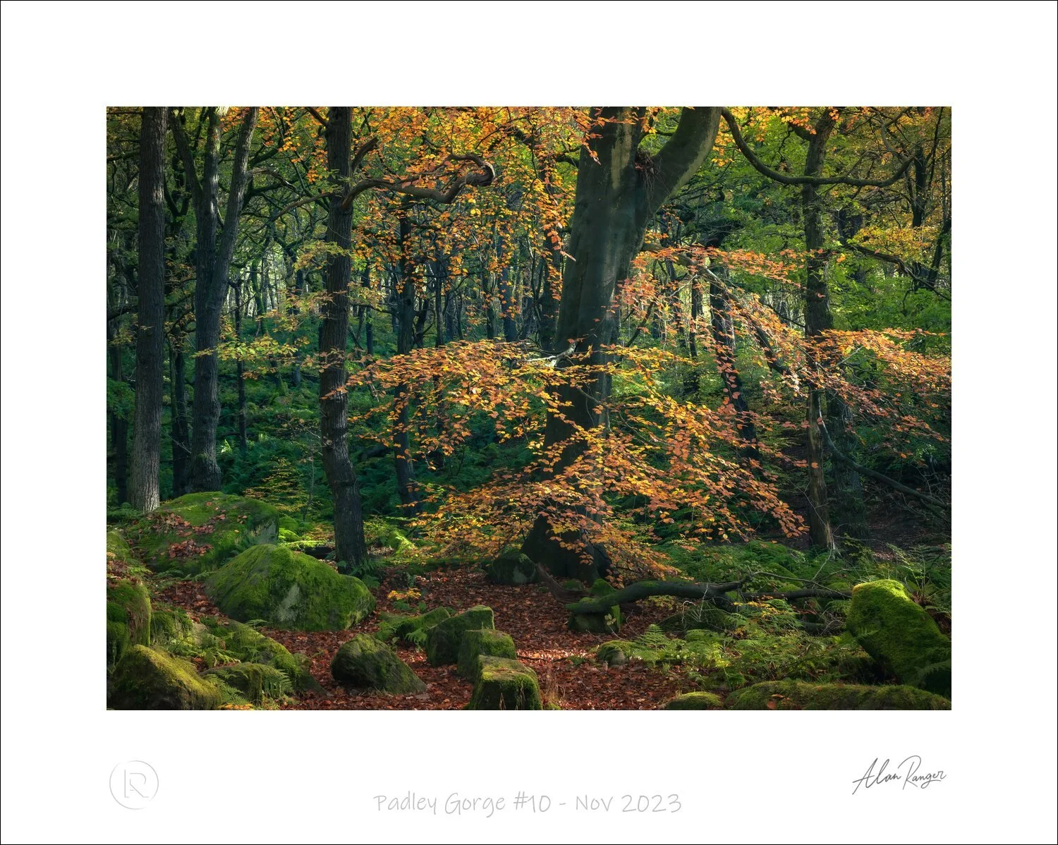 Padley Gorge #10 - Nov 2023.jpg