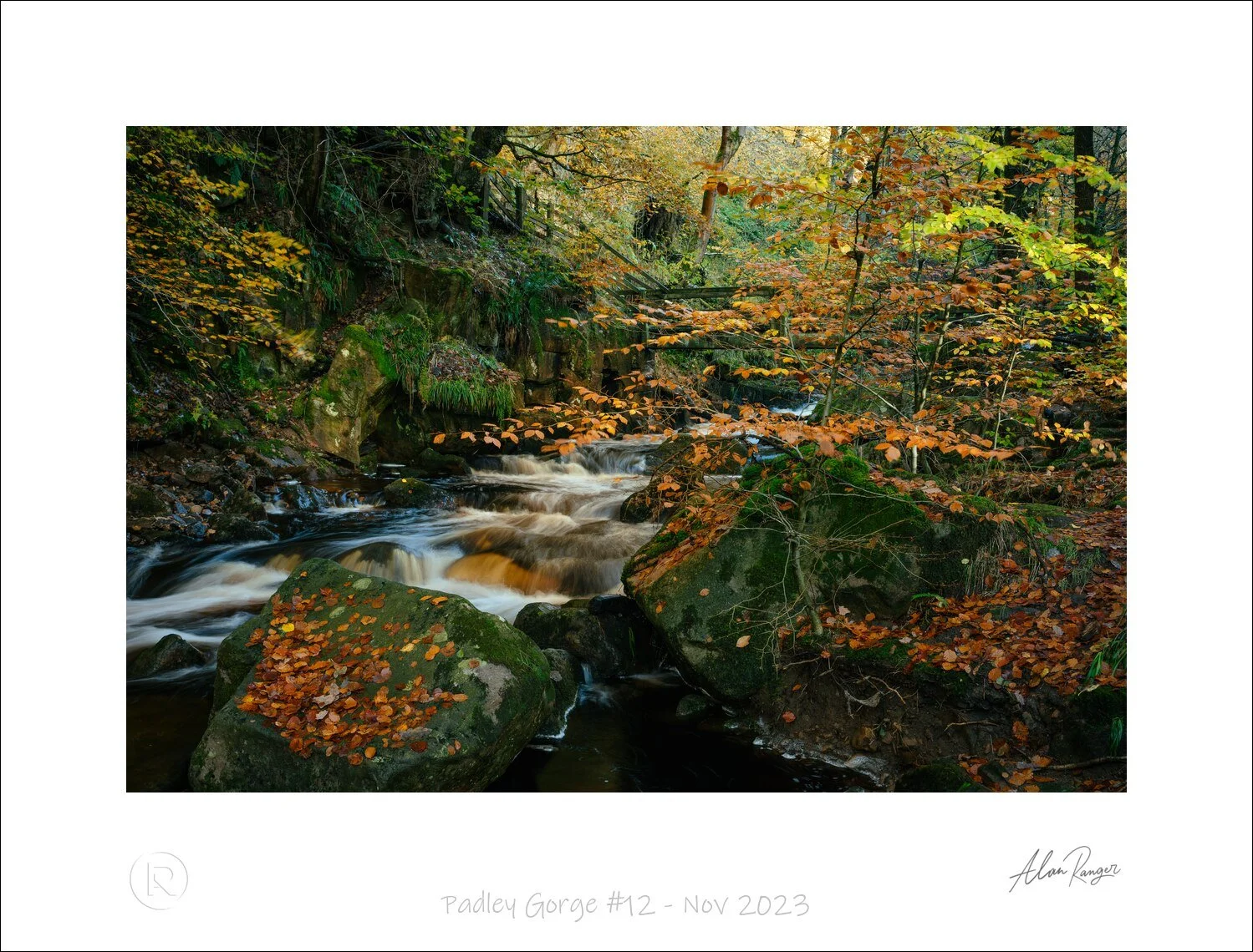 Padley Gorge #12 - Nov 2023.jpg