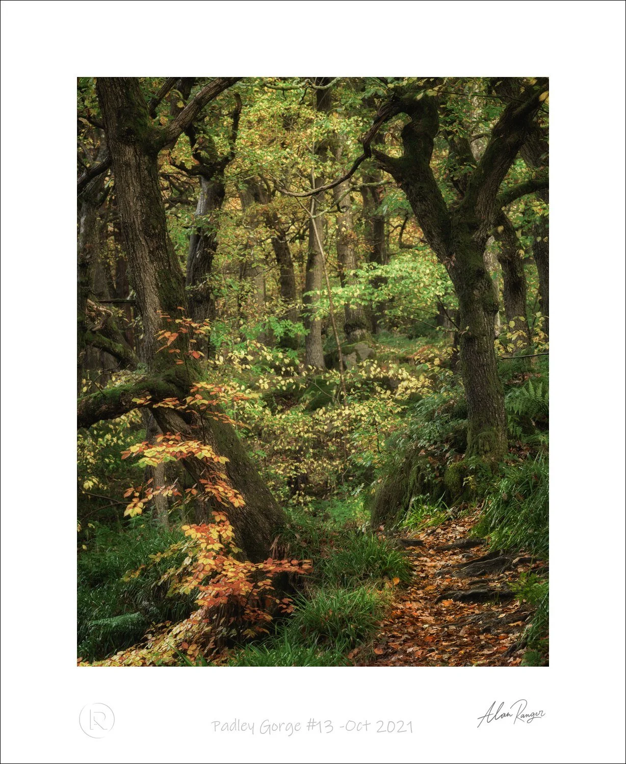 Padley Gorge #13 -Oct 2021.jpg