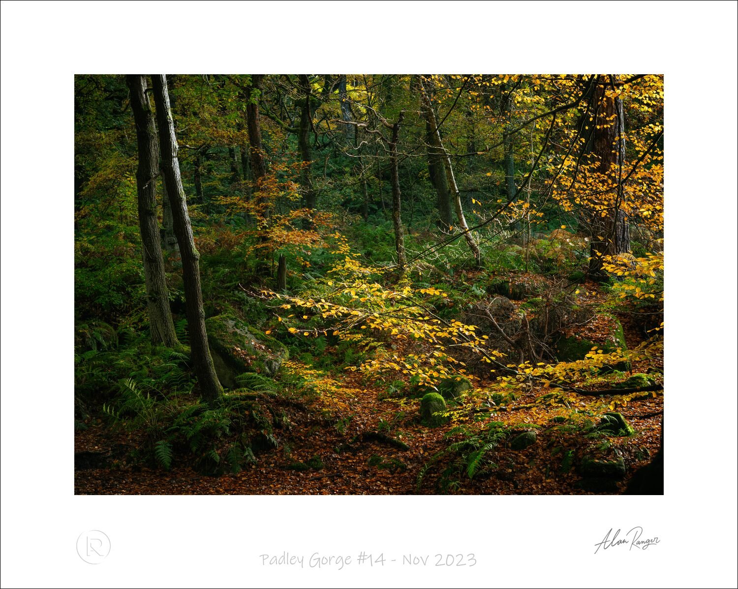 Padley Gorge #14 - Nov 2023.jpg
