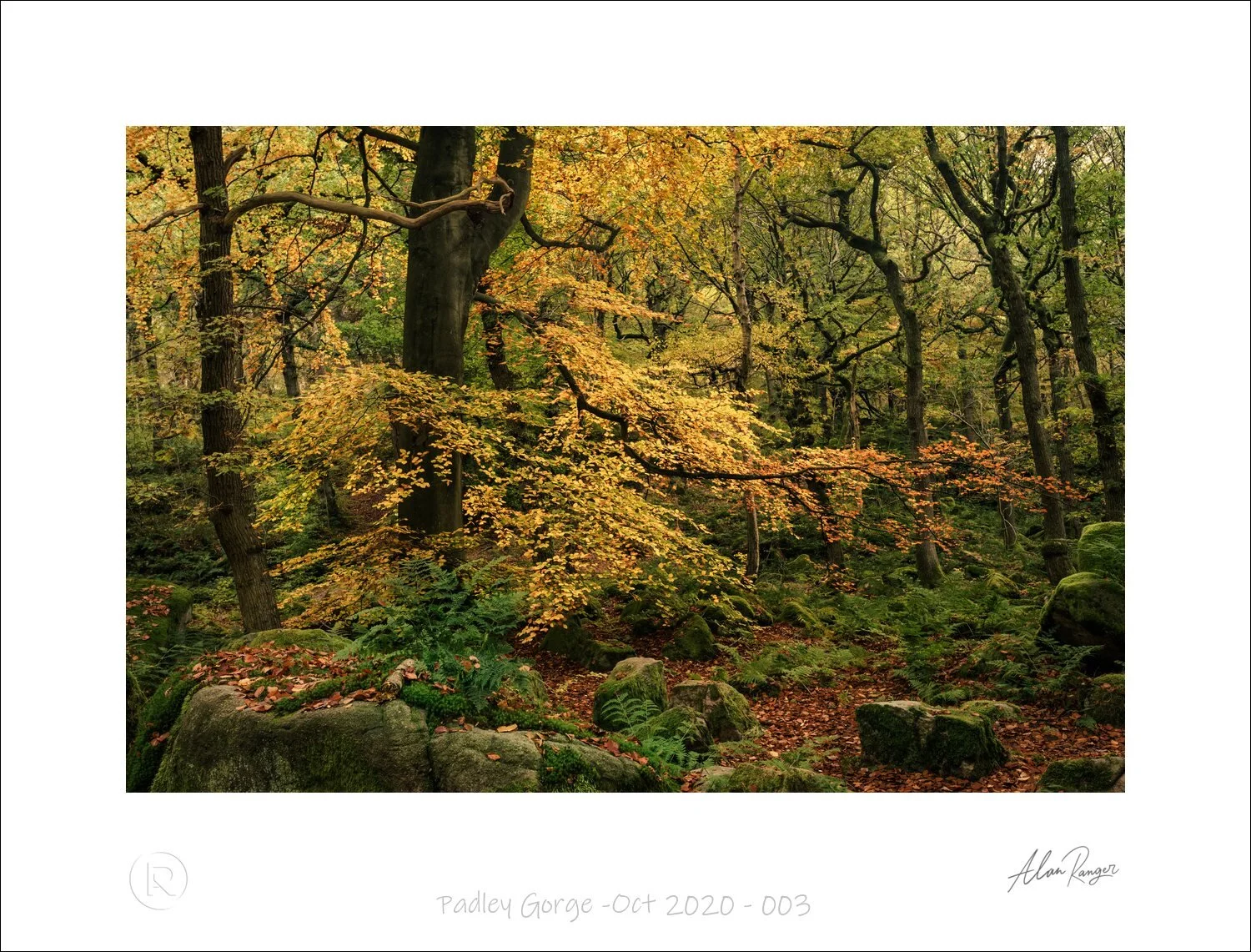 Padley Gorge -Oct 2020 - 003.jpg