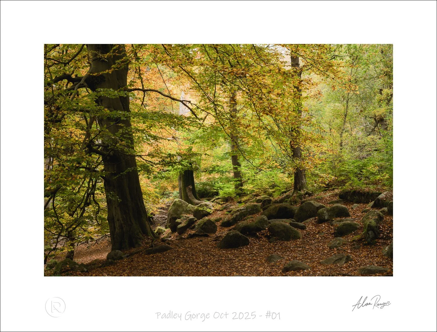 Padley Gorge Oct 2025 - #01.jpg
