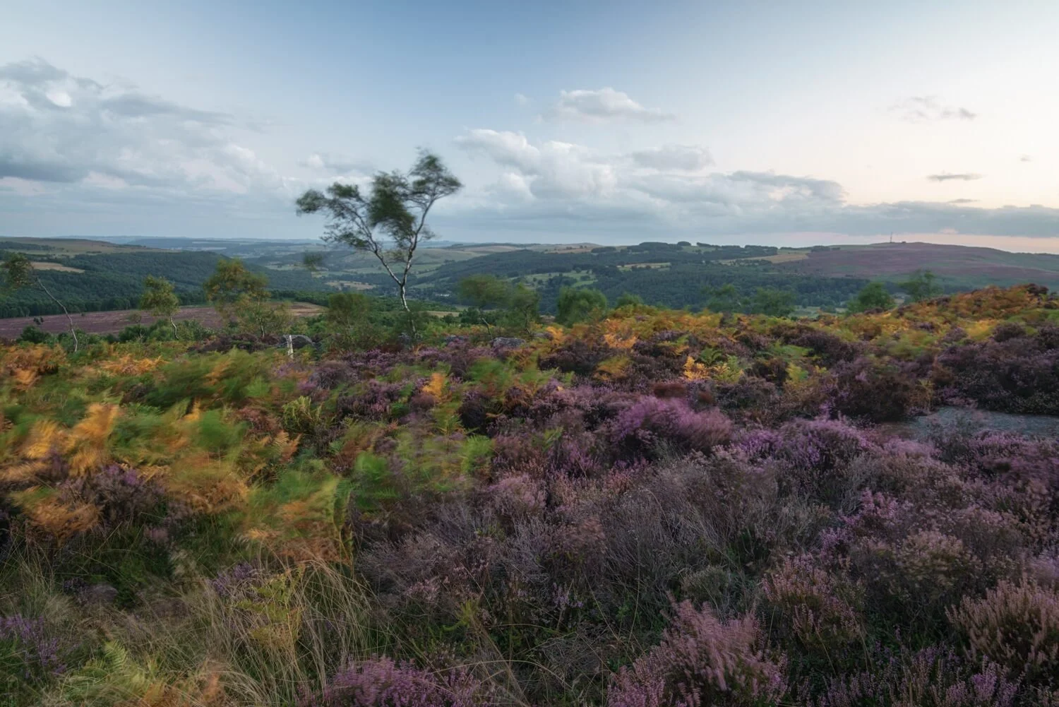 Hathersage #02 - Aug 2022.jpg