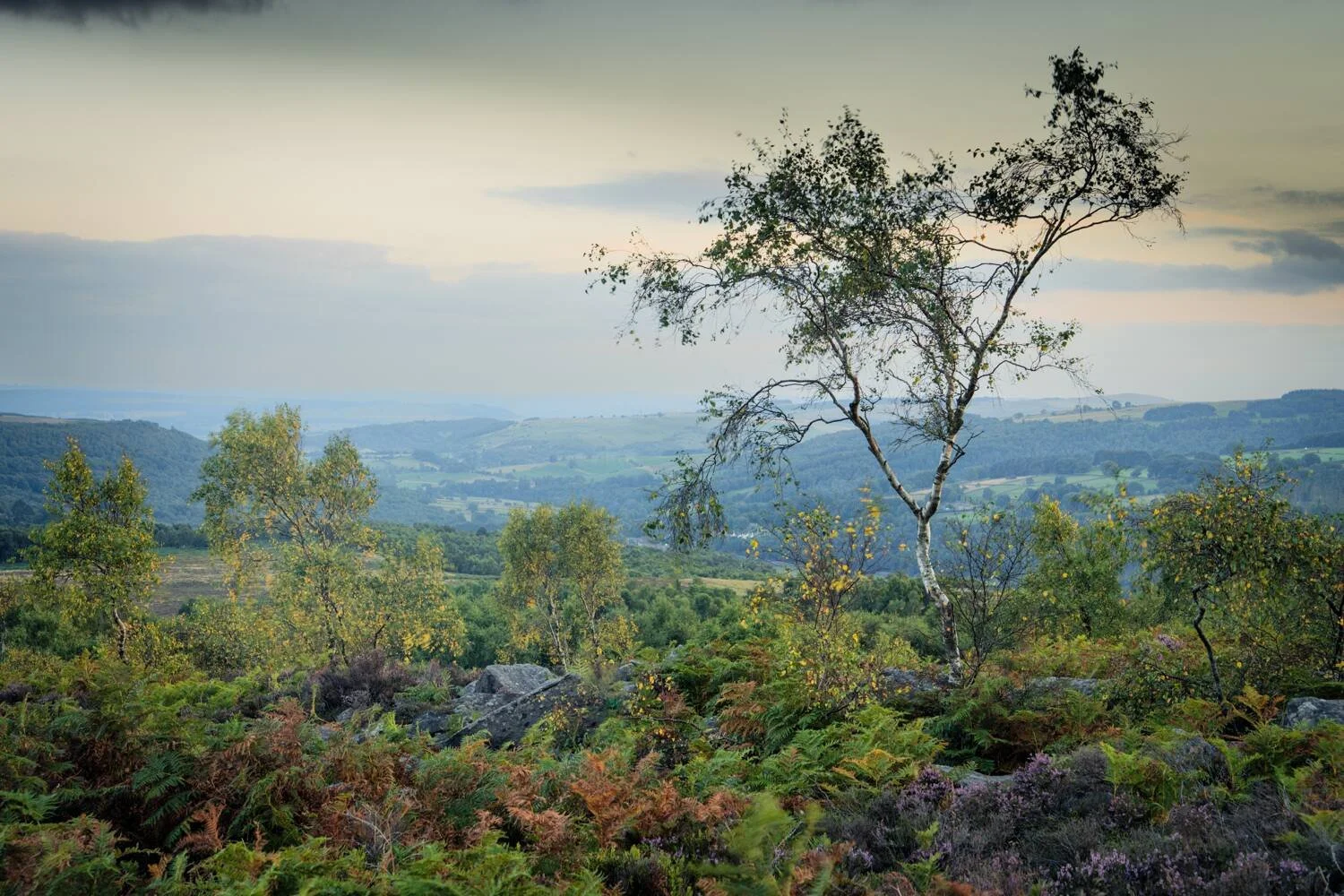 Hathersage #04 - Aug 2025.jpg