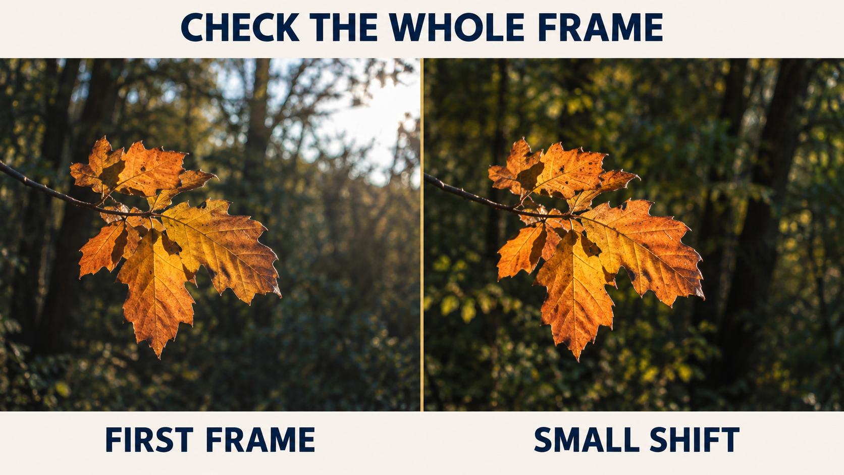 observation-check-the-whole-frame-master.png