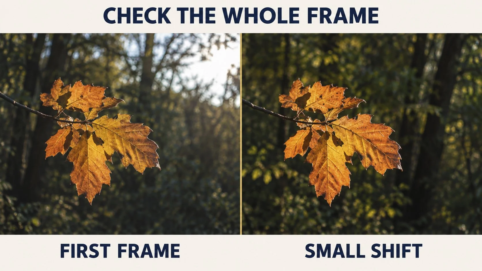 leaf frame.jpg