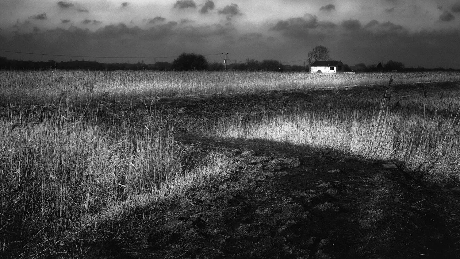 Herringfleet Path.jpg