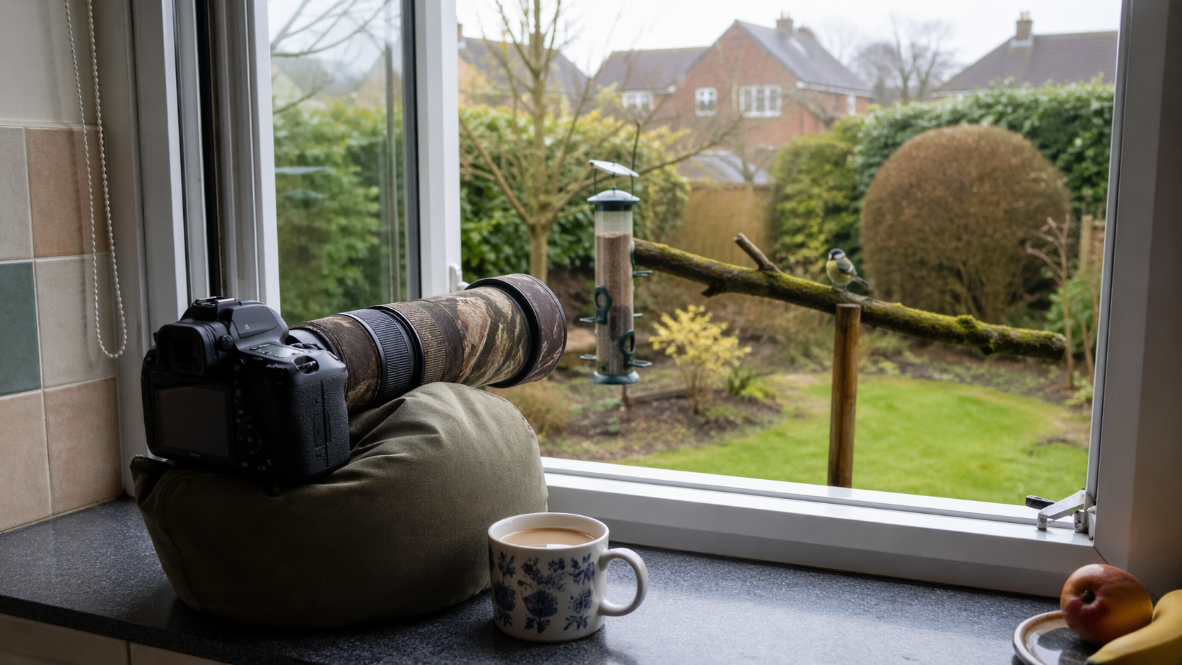 Bird Photography Guide