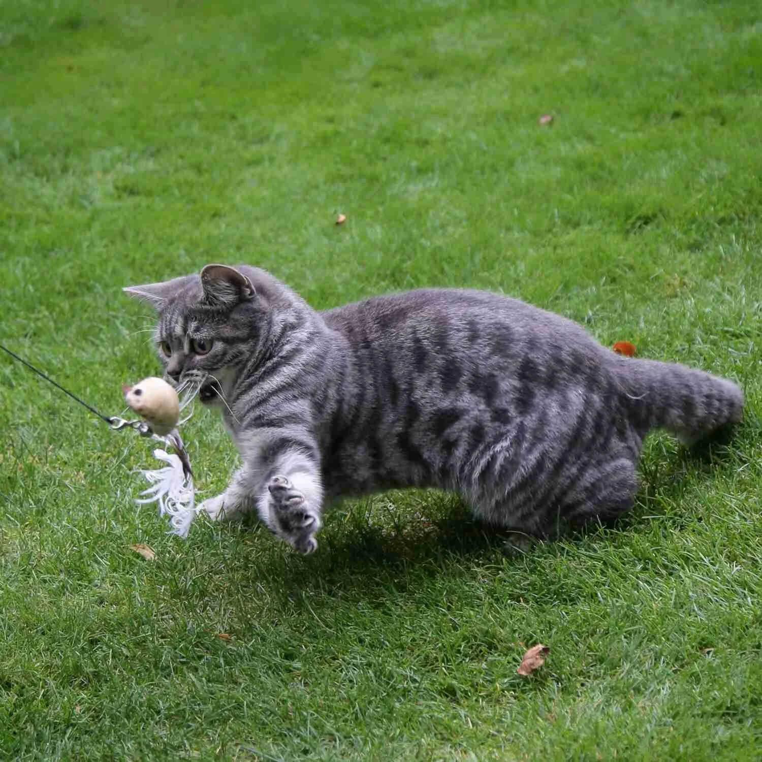 what is shutter speed in photography