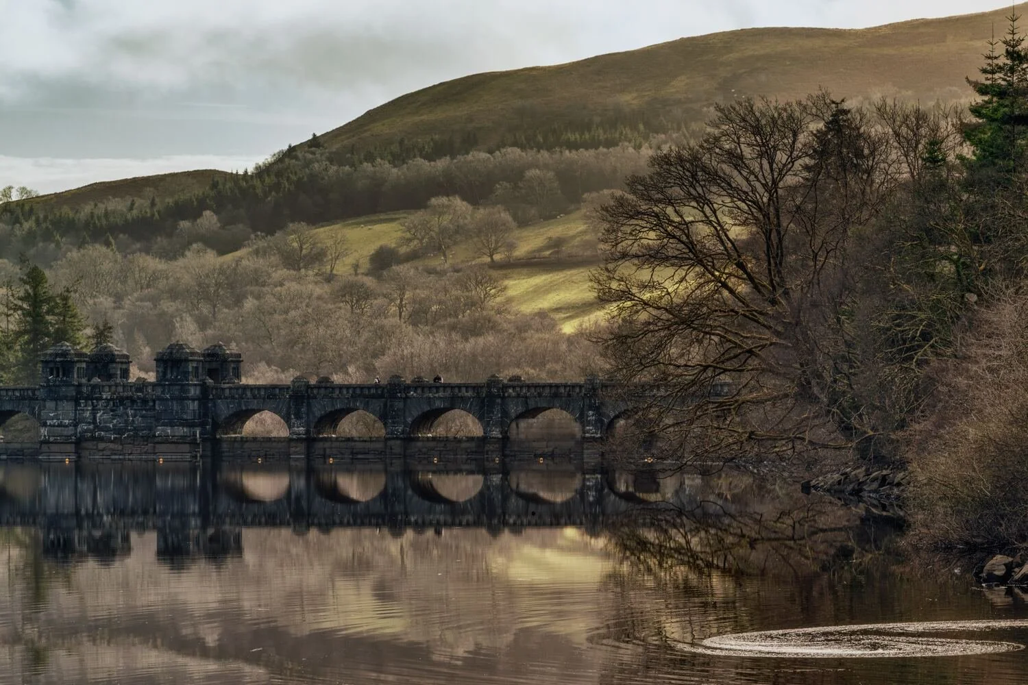 Lake Vyrnwy #19 - Jan 2022.jpg