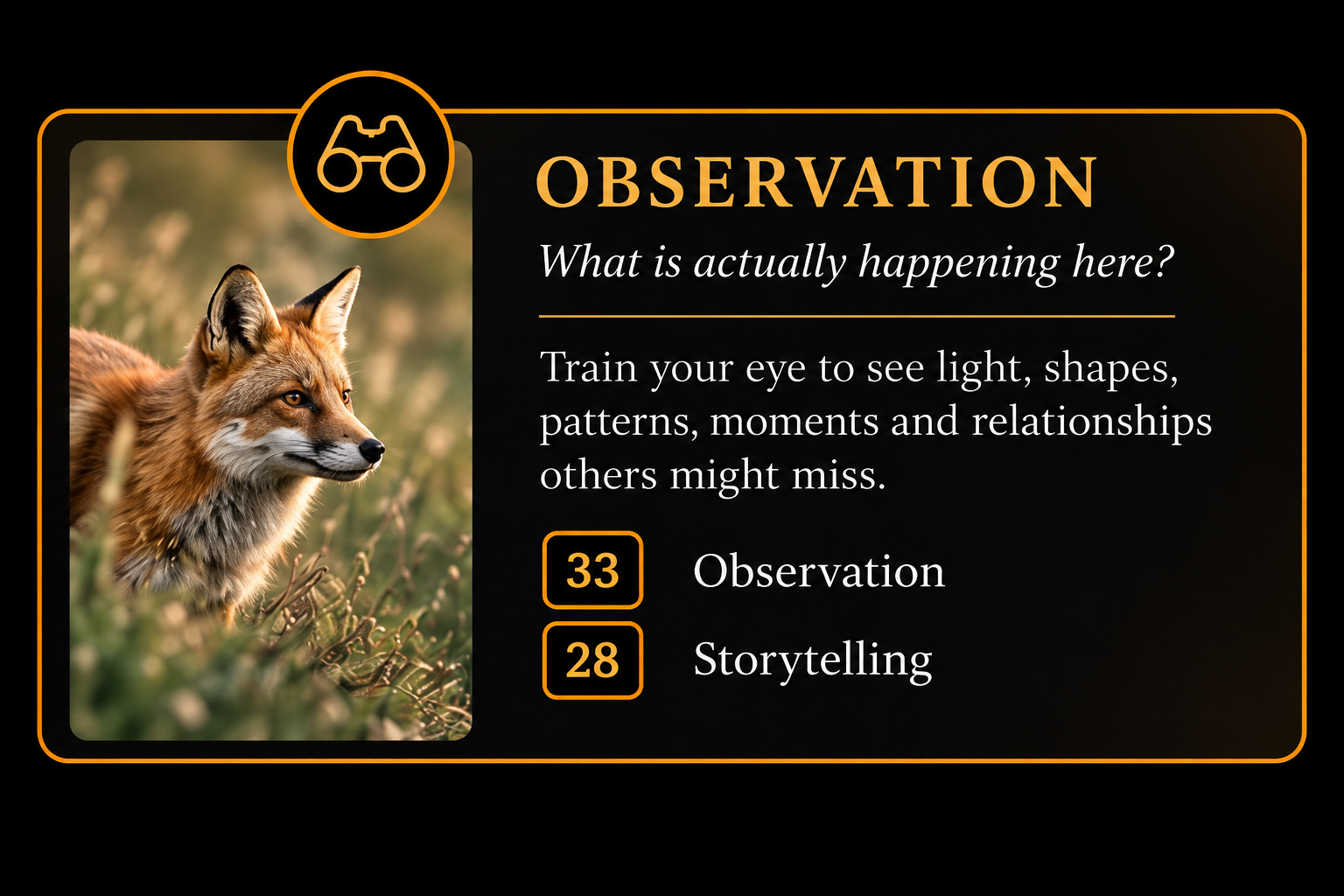 Photography observation within the Observation framework: what is actually happening here?
