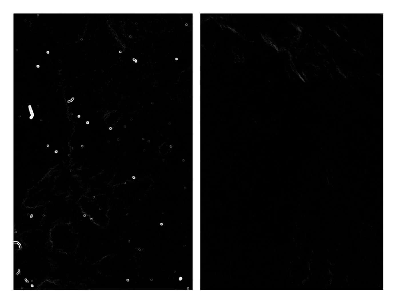 camera sensor cleaning - before and after clean