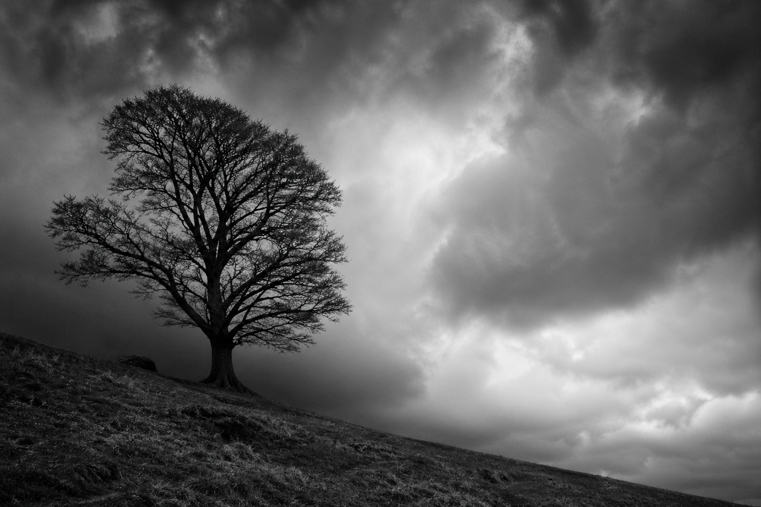 Black & White Photography