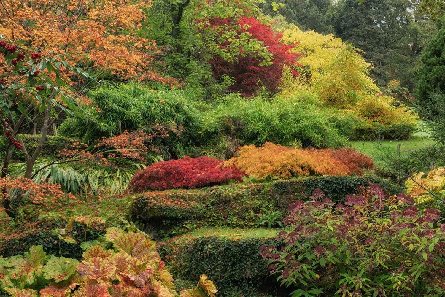 Autumn Arboretum & Garden Photography