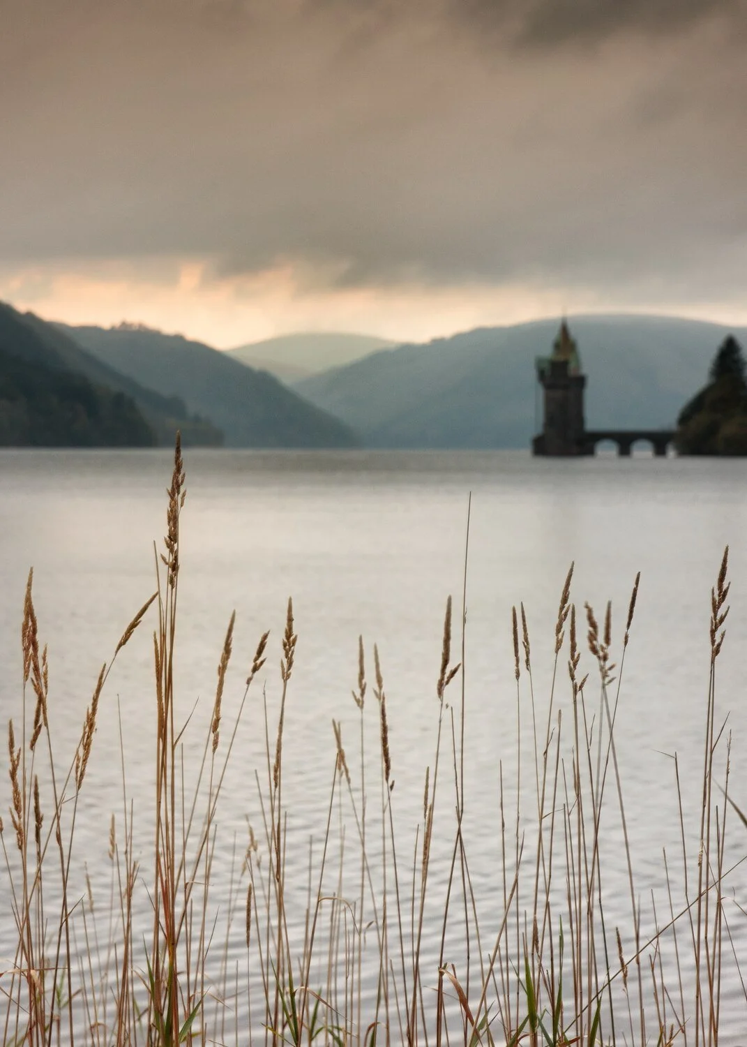 Vyrnwy_.jpg
