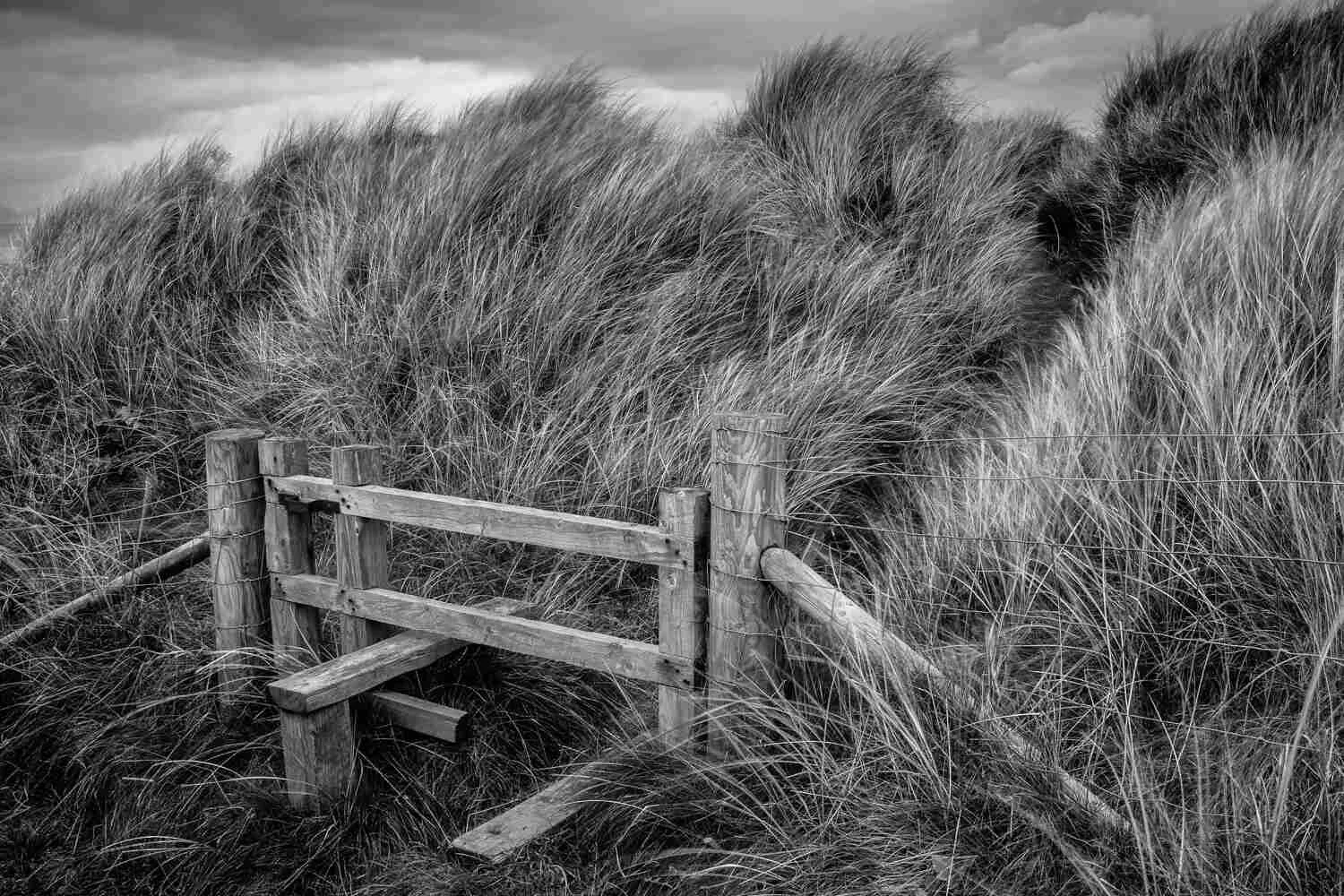 black and white photography for beginners