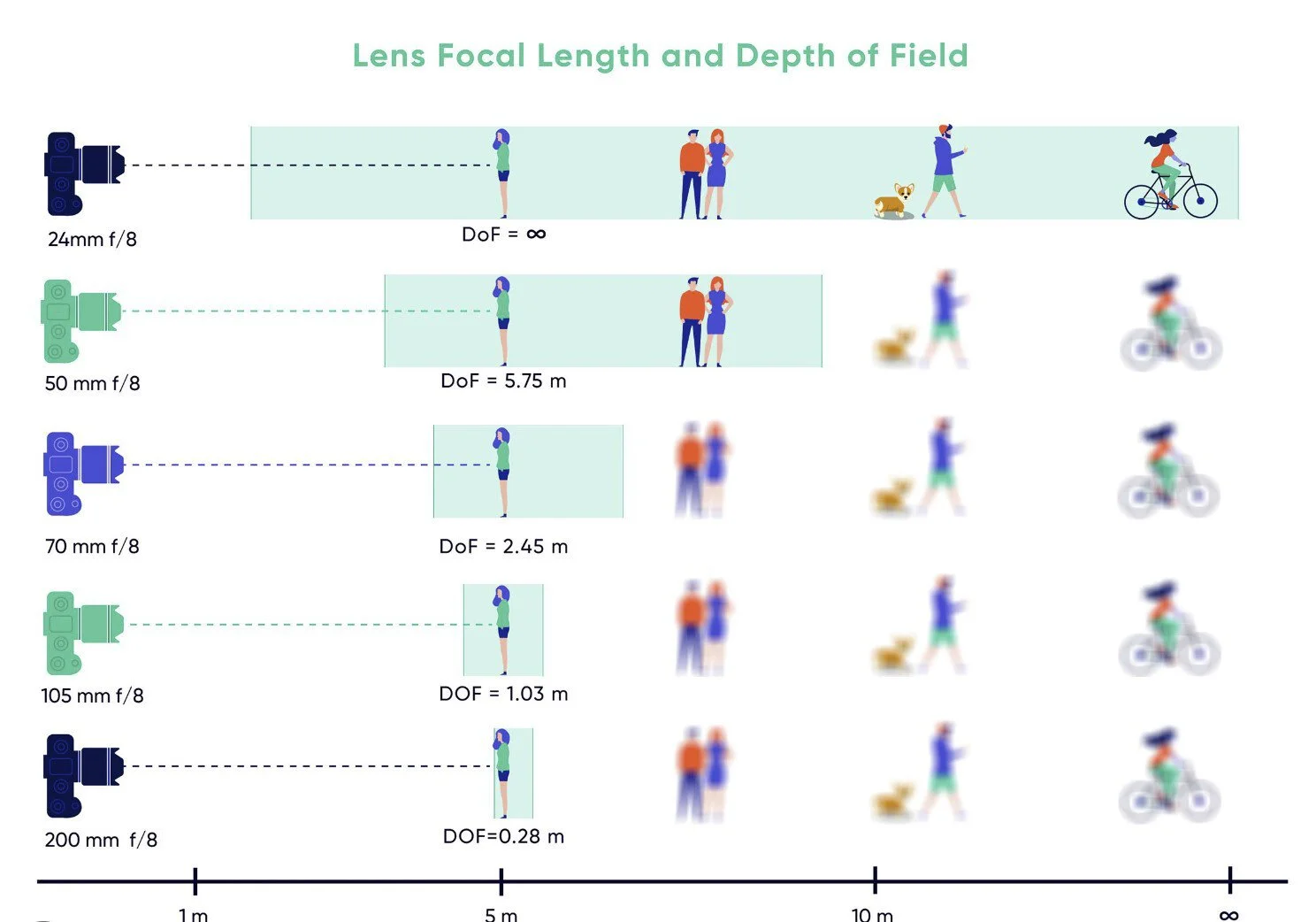 08 What Is FOCUS In Photography Key Concepts Explained