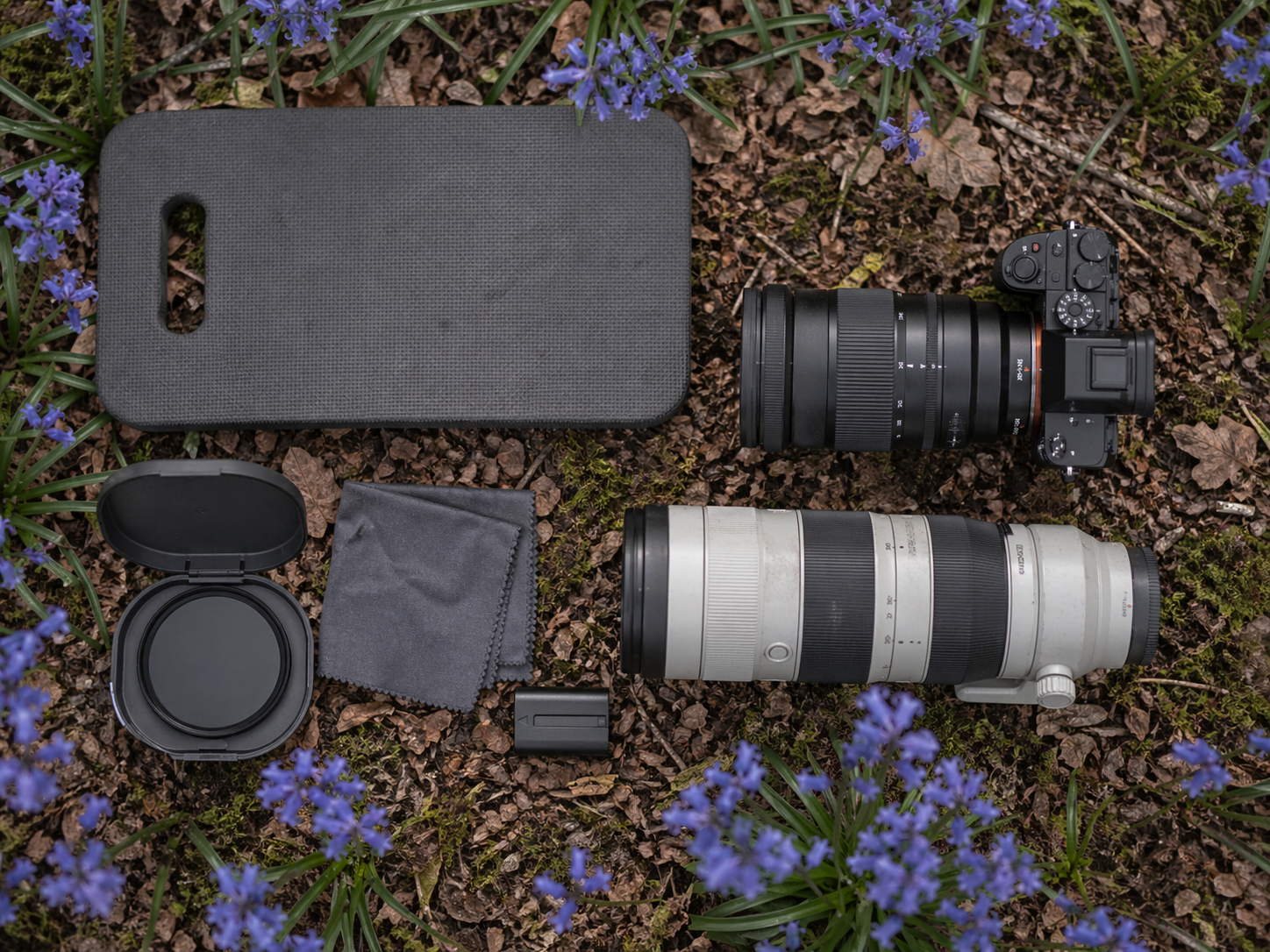 Bluebell Photography