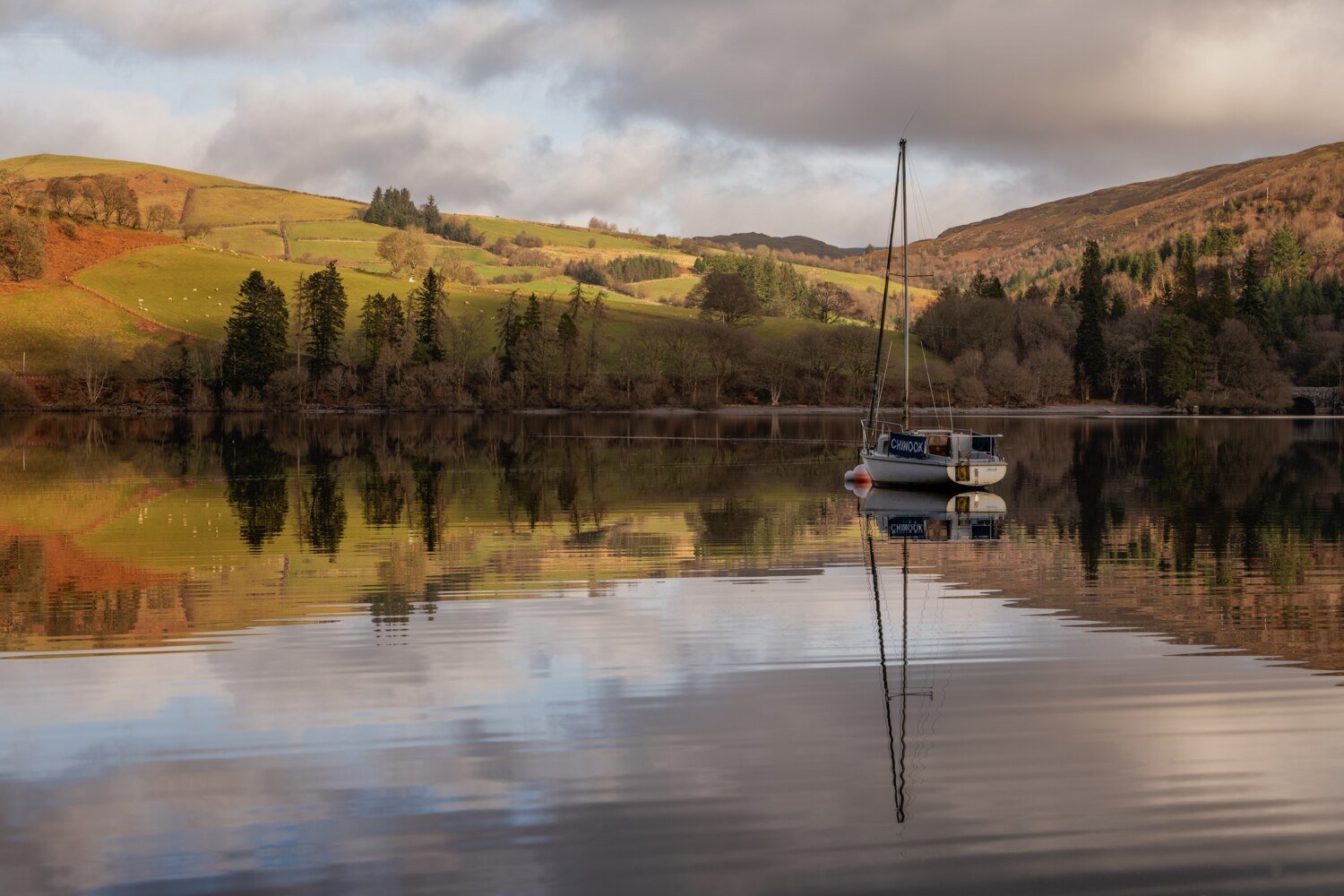 Lake Vyrnwy #21 - Jan 2022.jpg