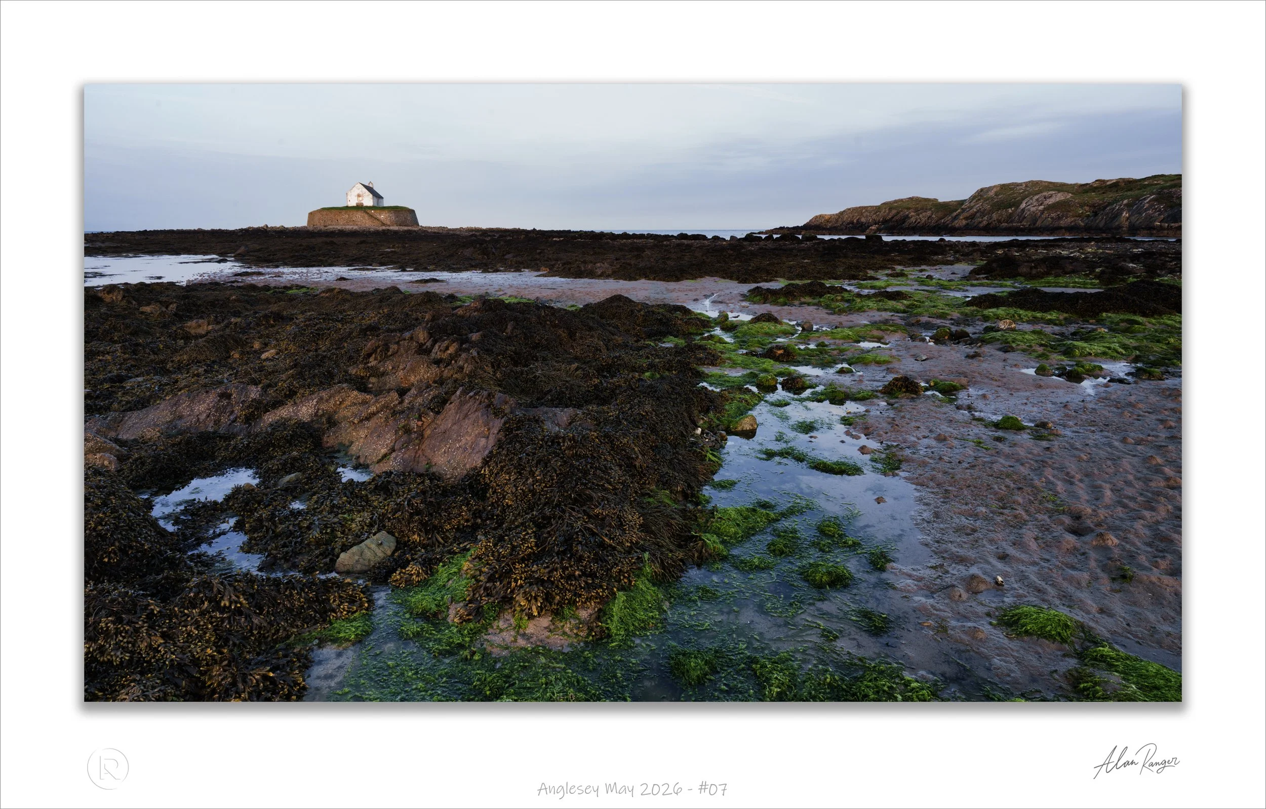 Anglesey May 2026 - #07.jpg