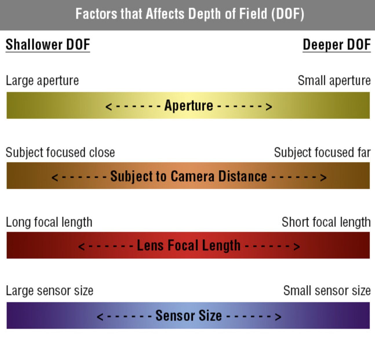 What Is Depth Of Field in photography