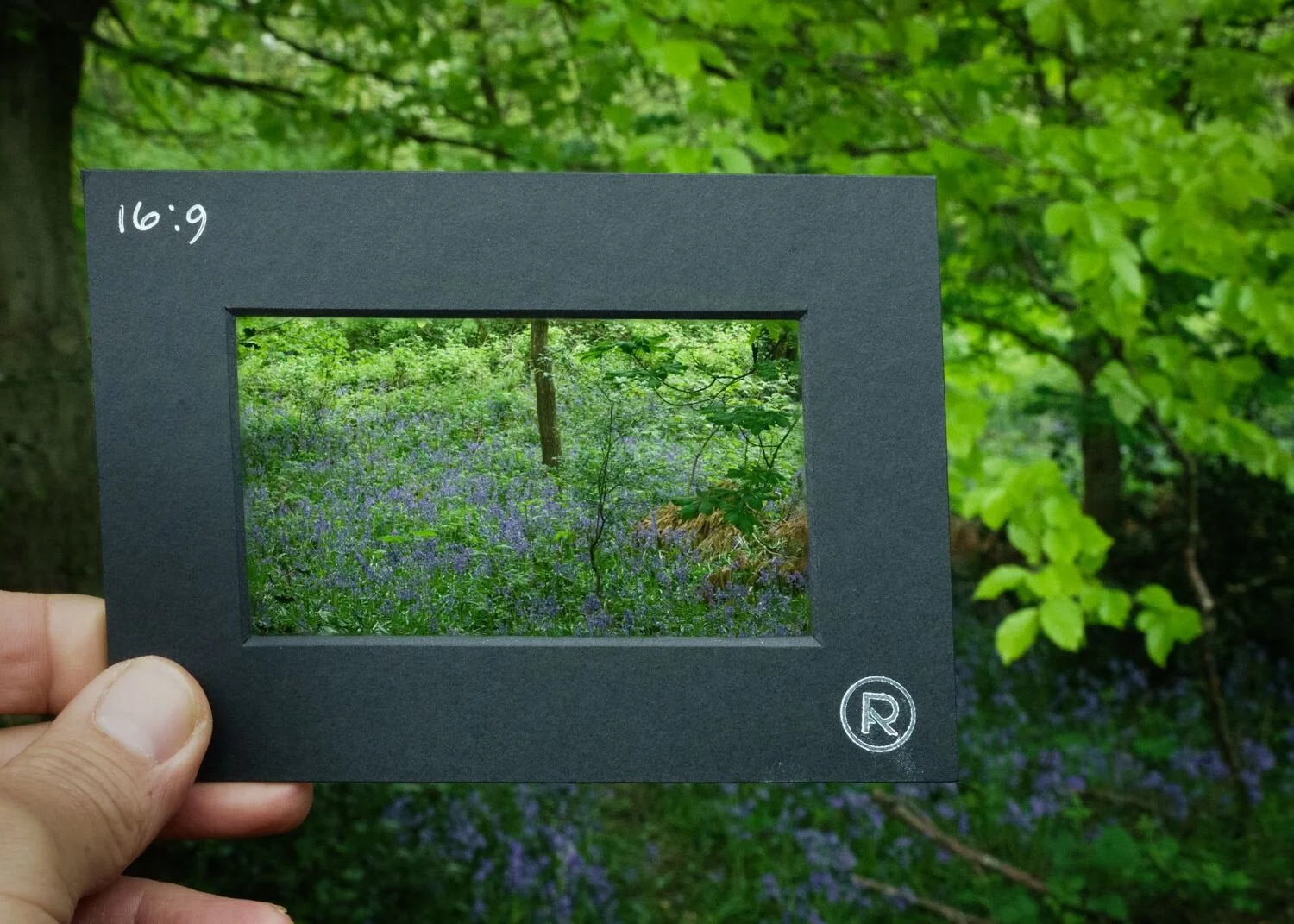 16-9 Viewing Frame.jpg