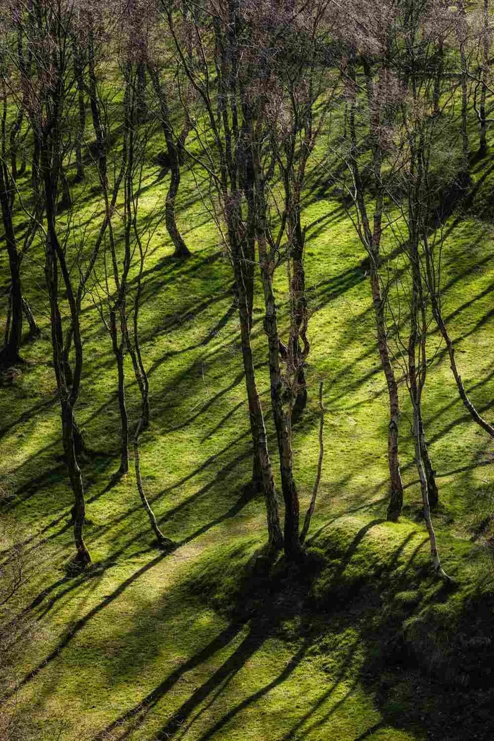 Shadow Photography