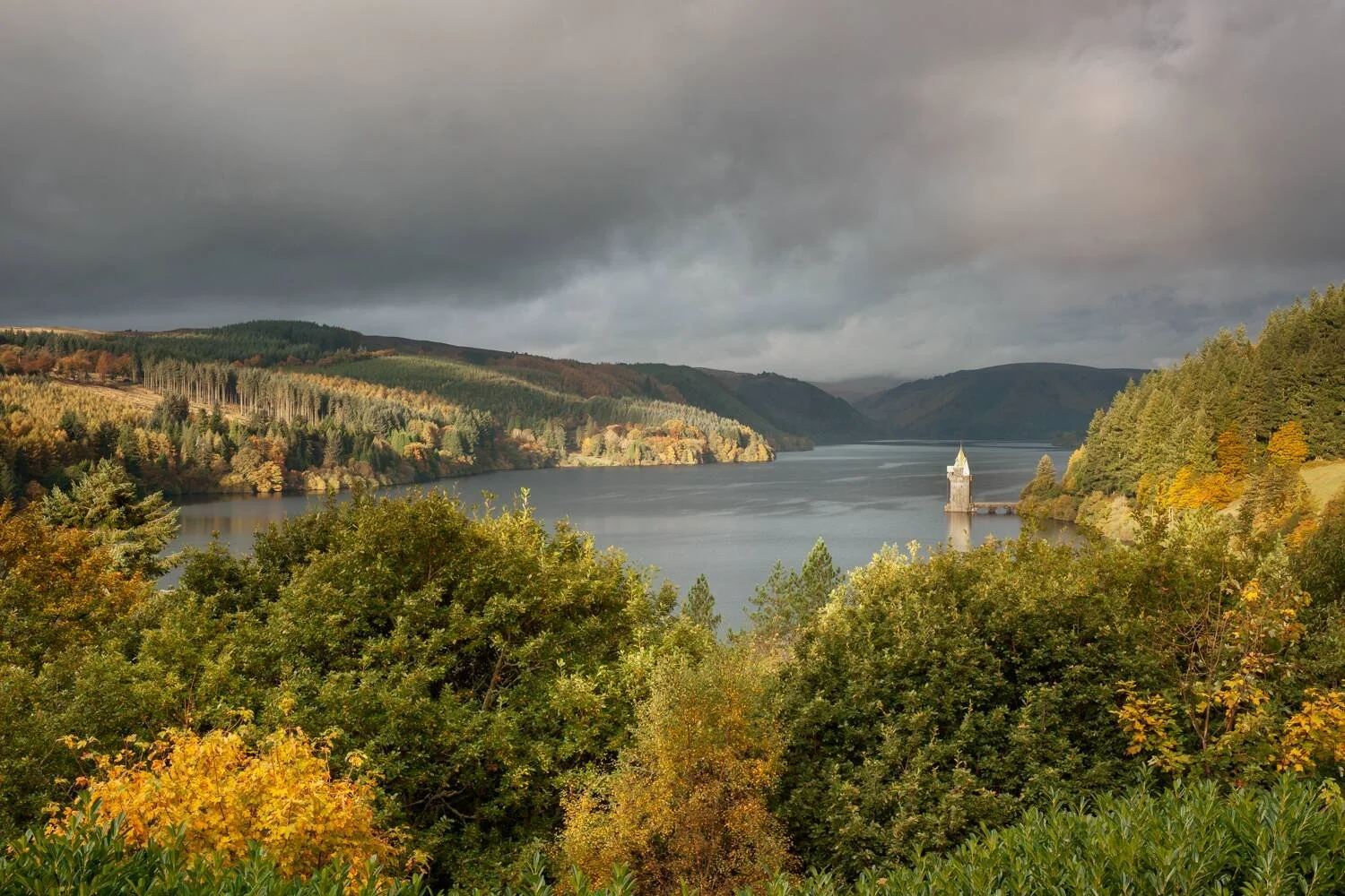 vyrnwy view.jpg