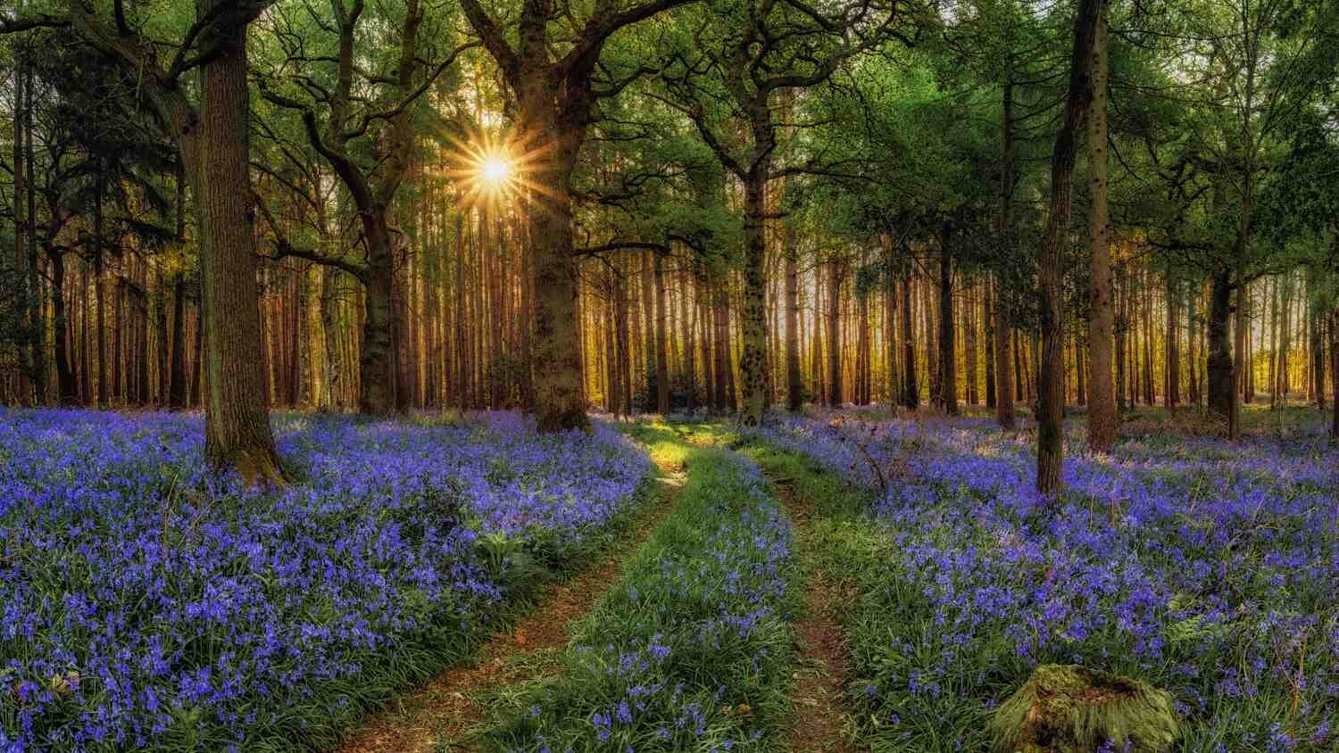 landscape photography tips