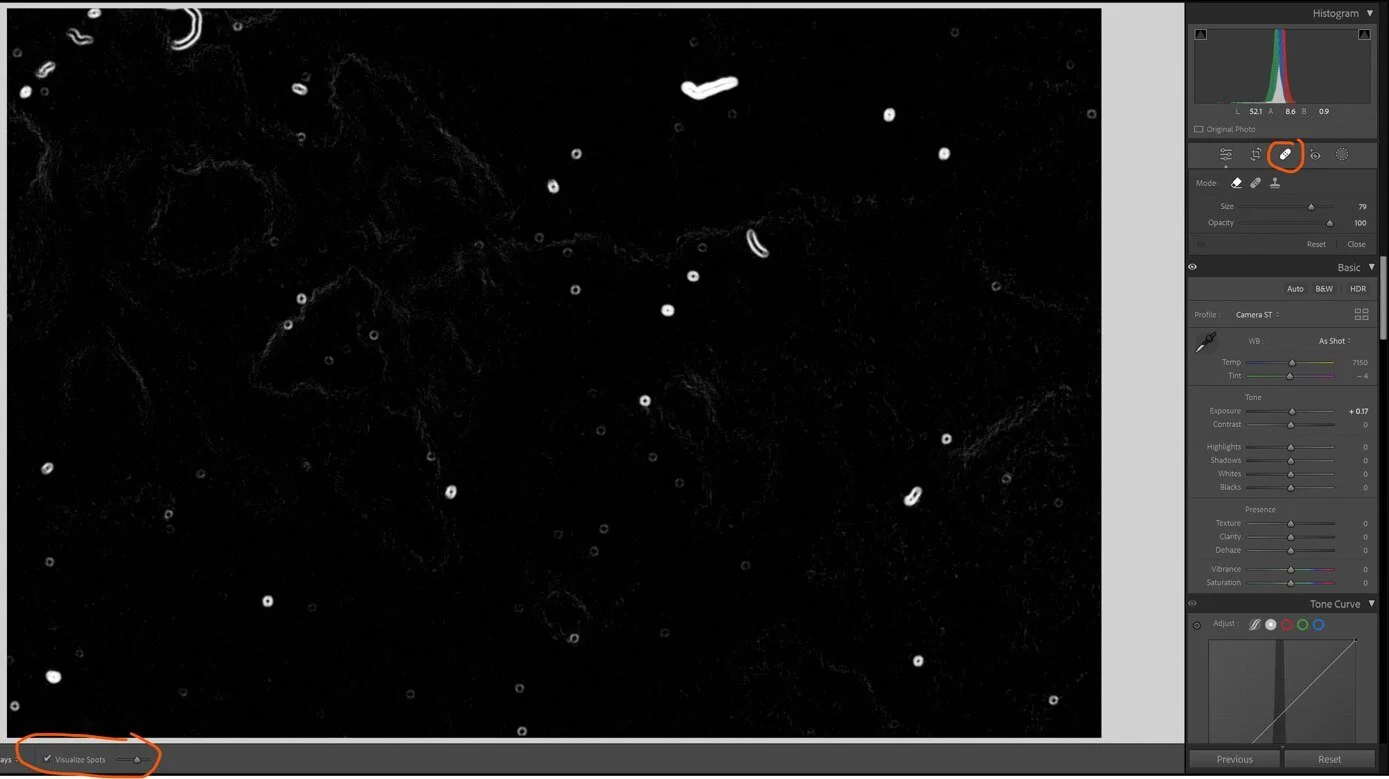 visualise dust spots in LRC
