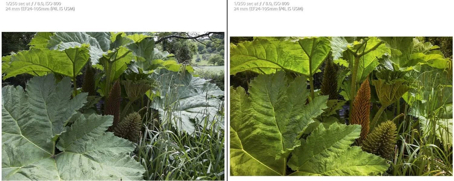 Creative Photo Editing