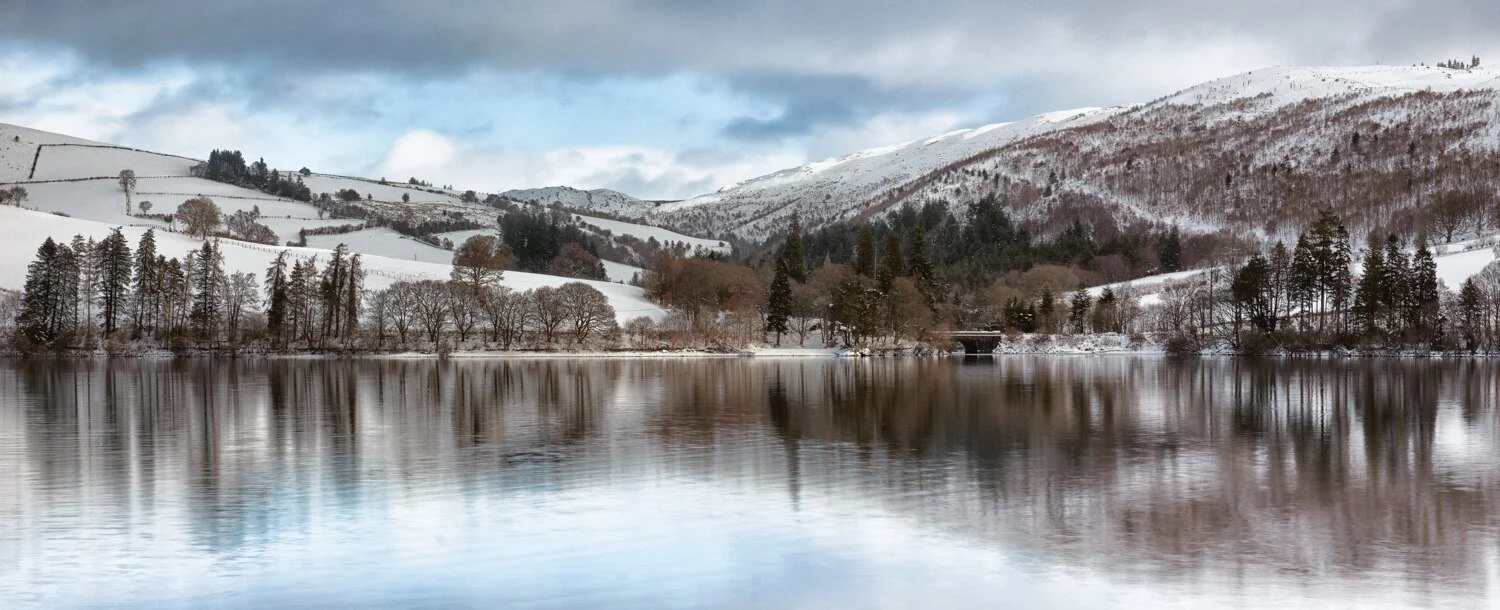 Vyrnwy View-2.jpg