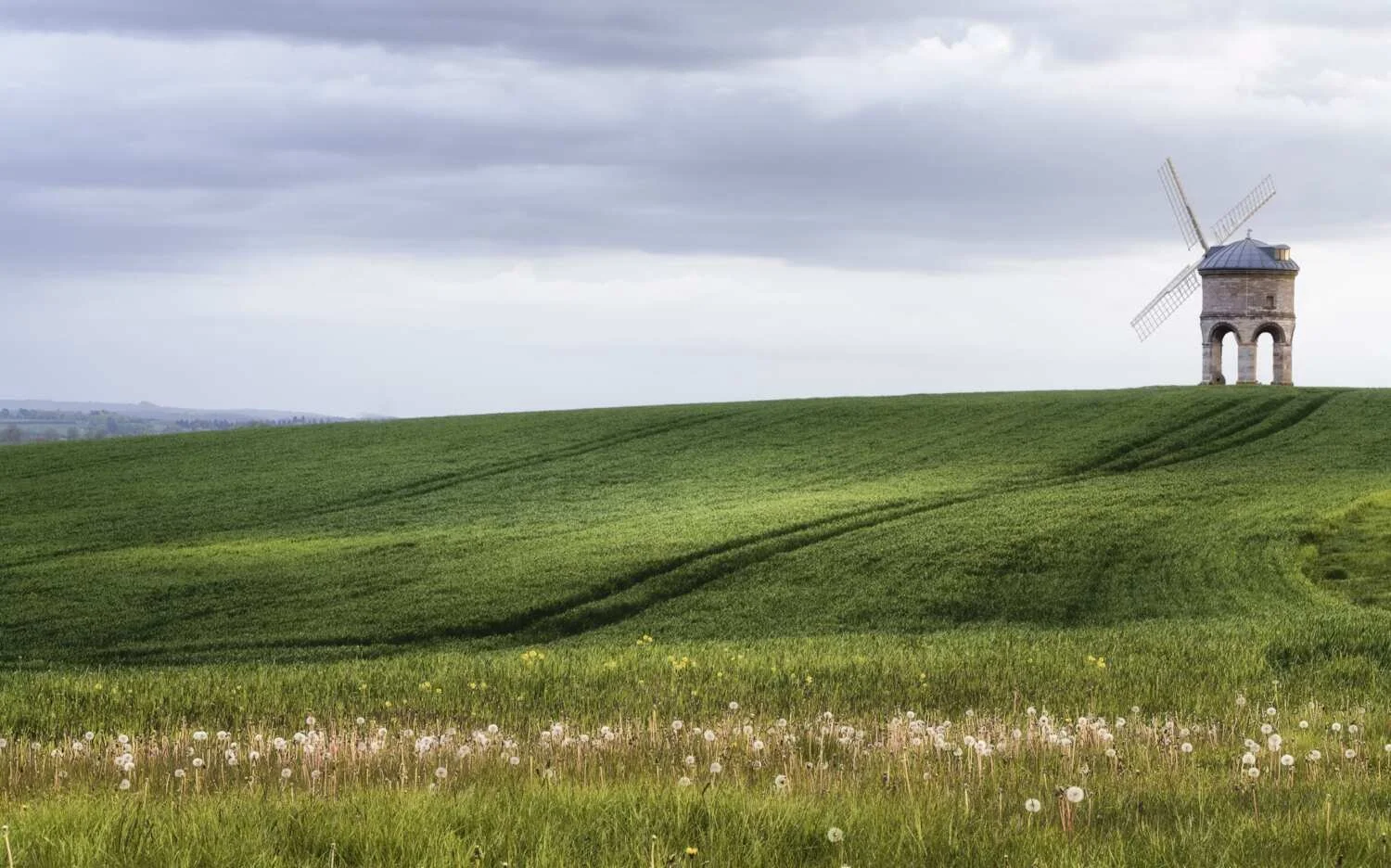 Rule of thirds example — subject placed on the thirds grid for balanced composition