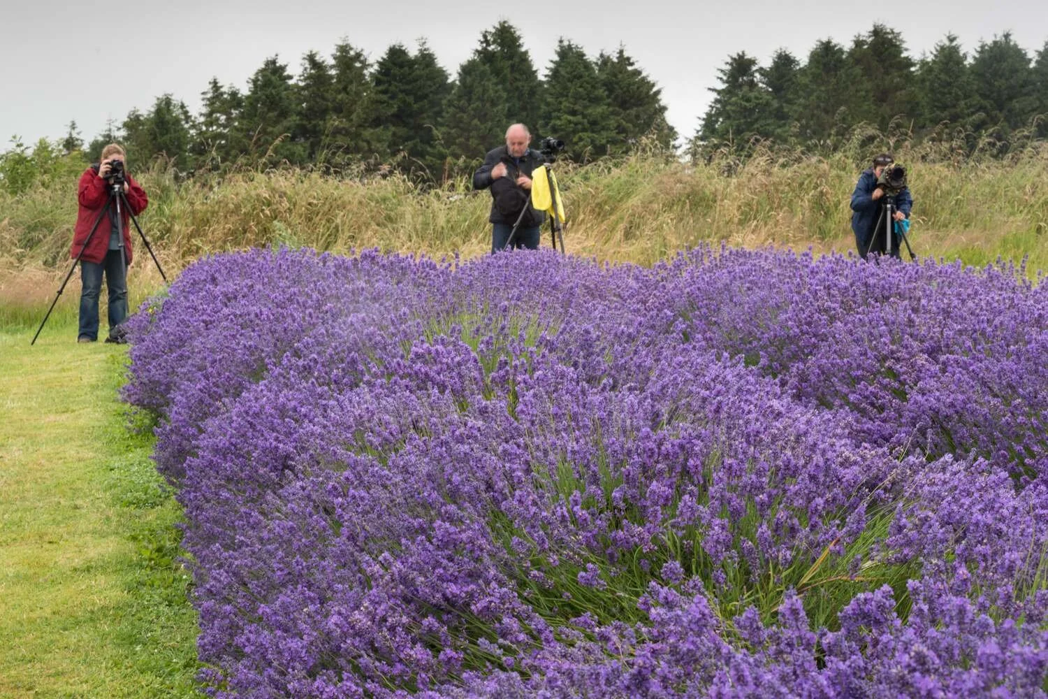 lavender workshop students.jpg