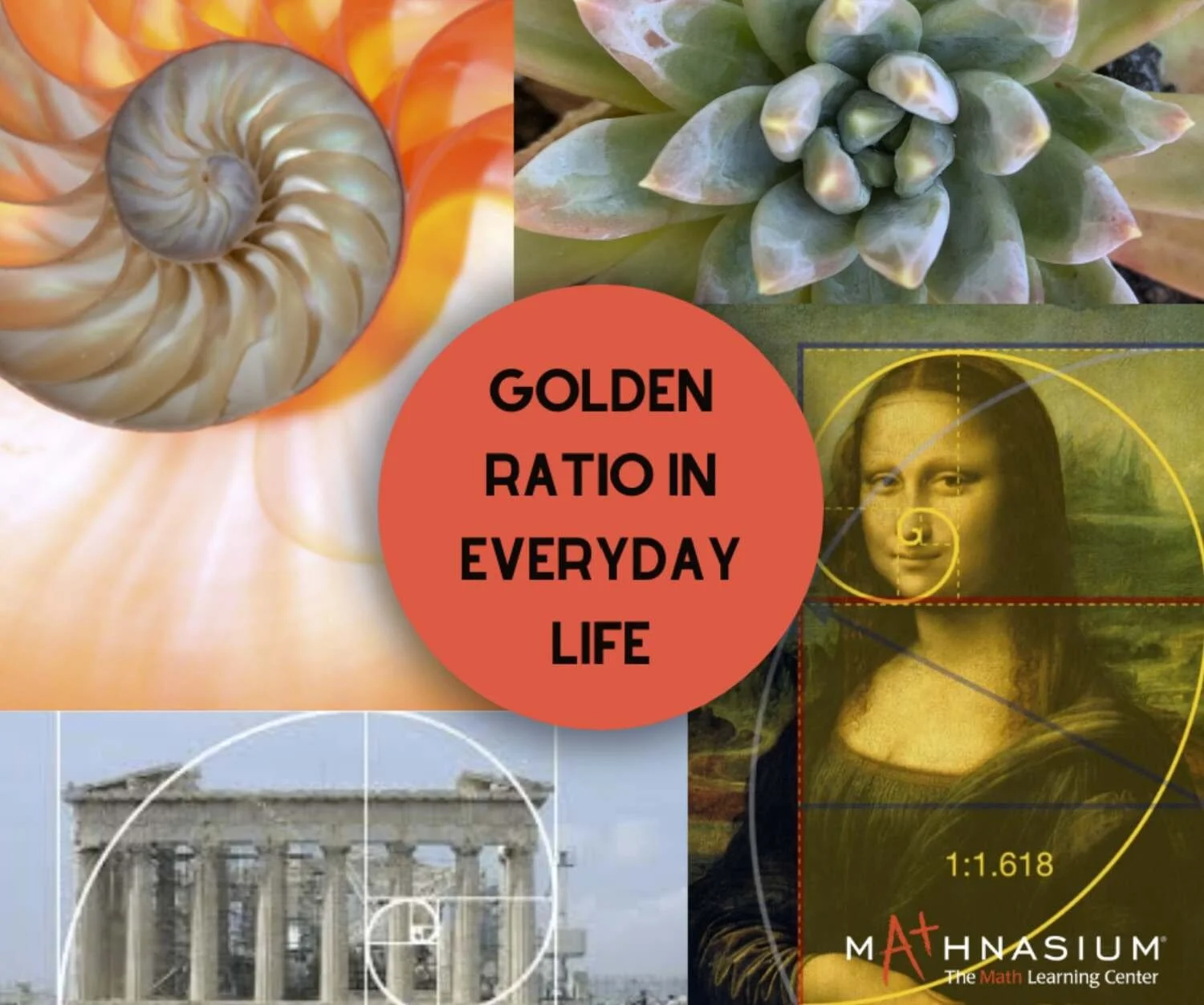 Understanding the Golden Spiral