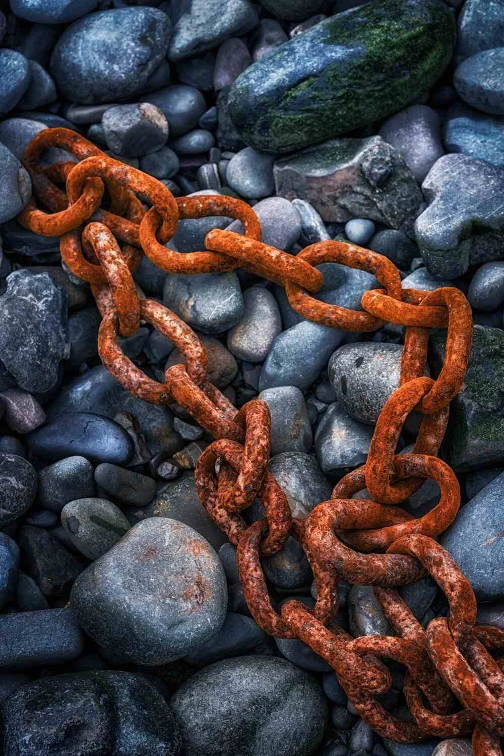 Photograph demonstrating the deliberate use of colour in composition