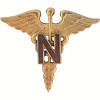 ANC insignia.jpeg