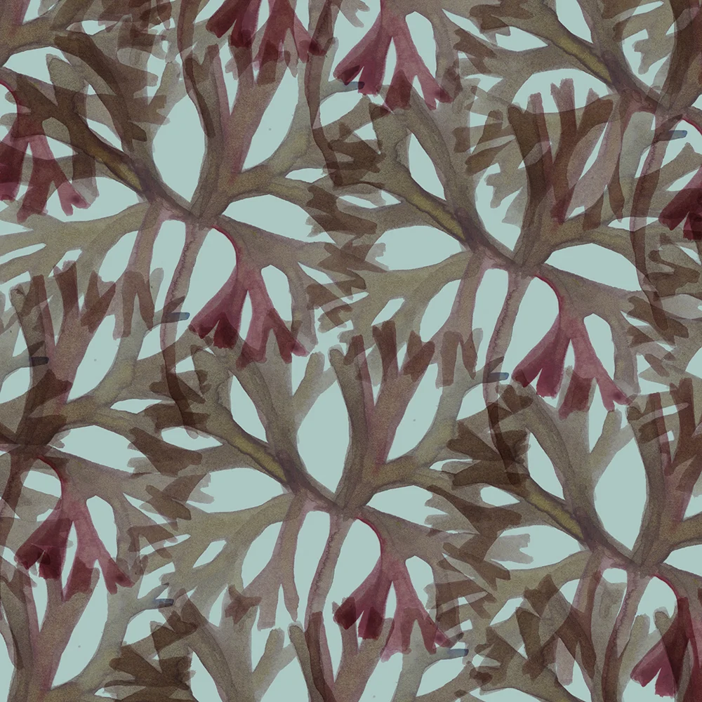 SEAWEEDYREPEAT3FLAT.jpg