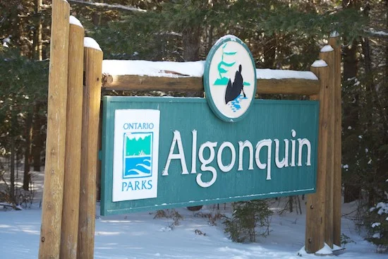 AlgonquinParkinWinter.jpg
