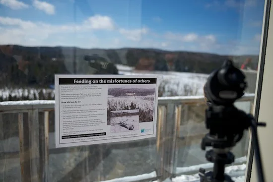 WinterintheWild20132.jpg