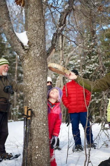 WinterintheWild201325.jpg