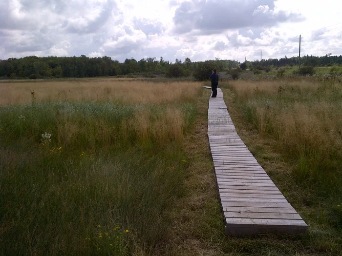 Carden Alvar Provincial Park