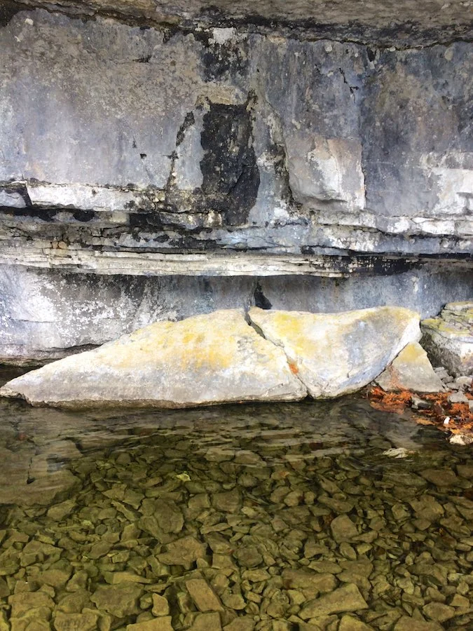 Snapshot: A Rocky Owl