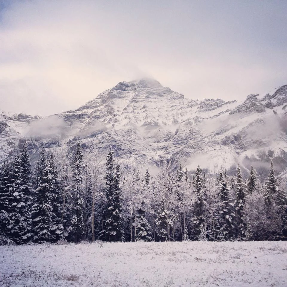 Snapshot Sunday: Chelsea Scott