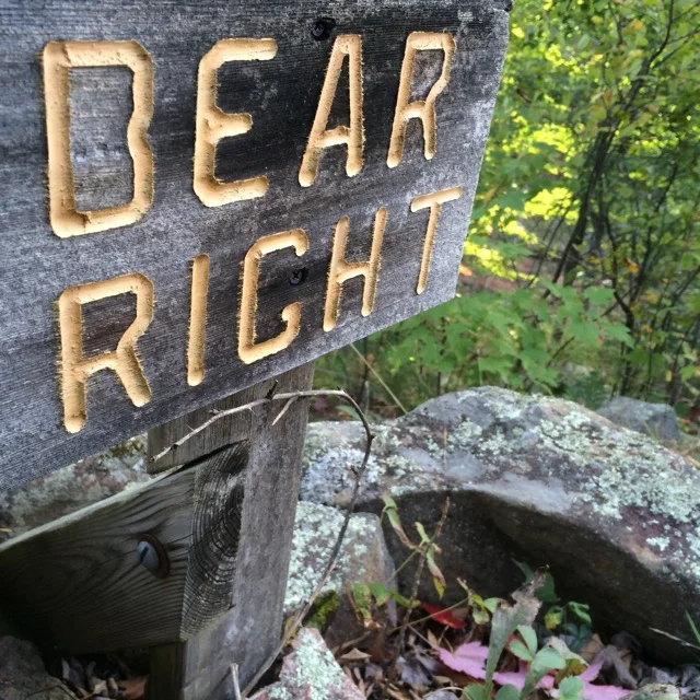 Snapshot: Bear Right