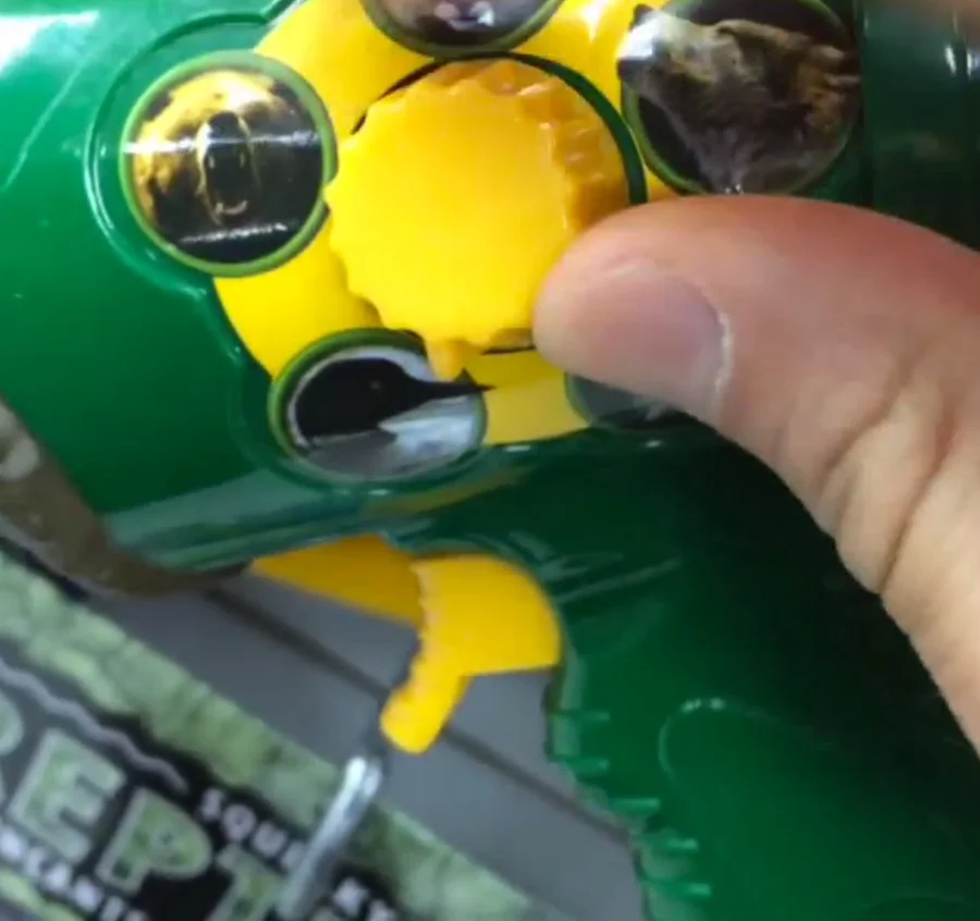 What Does the Loon Say?