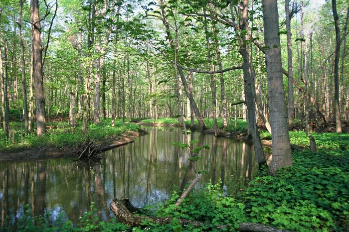 Ontario Creates Five New Provincial Parks, and Expands Three Others