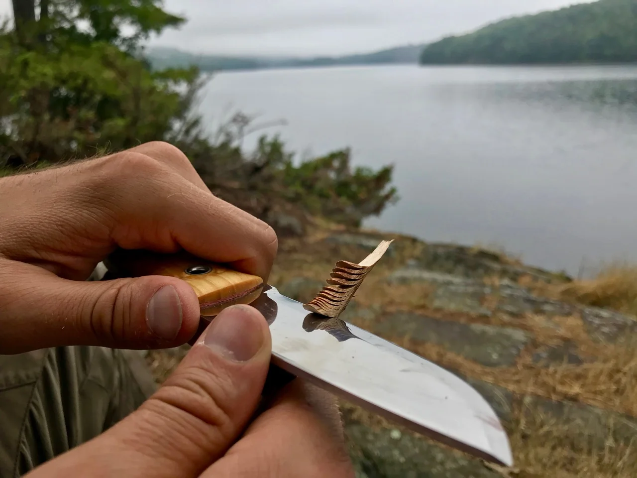 HelleUtværCutting.jpg